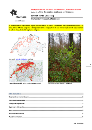 Image - inva_prun_lau_infoflora.pdf