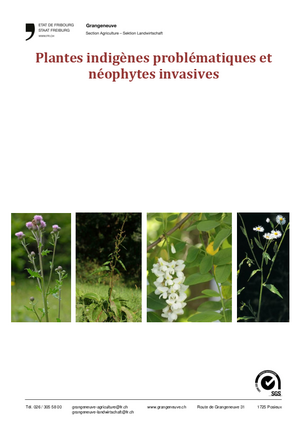 Image - Plantes_indigenes_problematiques_et_neophytes_invasives_202406.pdf