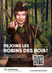 Image - RobinDesBois.pdf