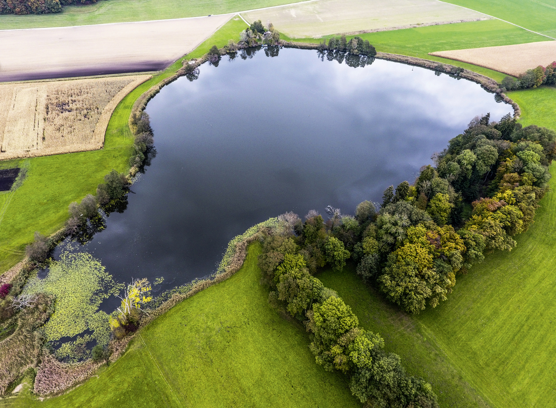 Image - Lac_de_Seedorf.jpg