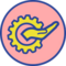 Image - Services-.png
