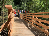 Image - passerelle_arbogne.jpg